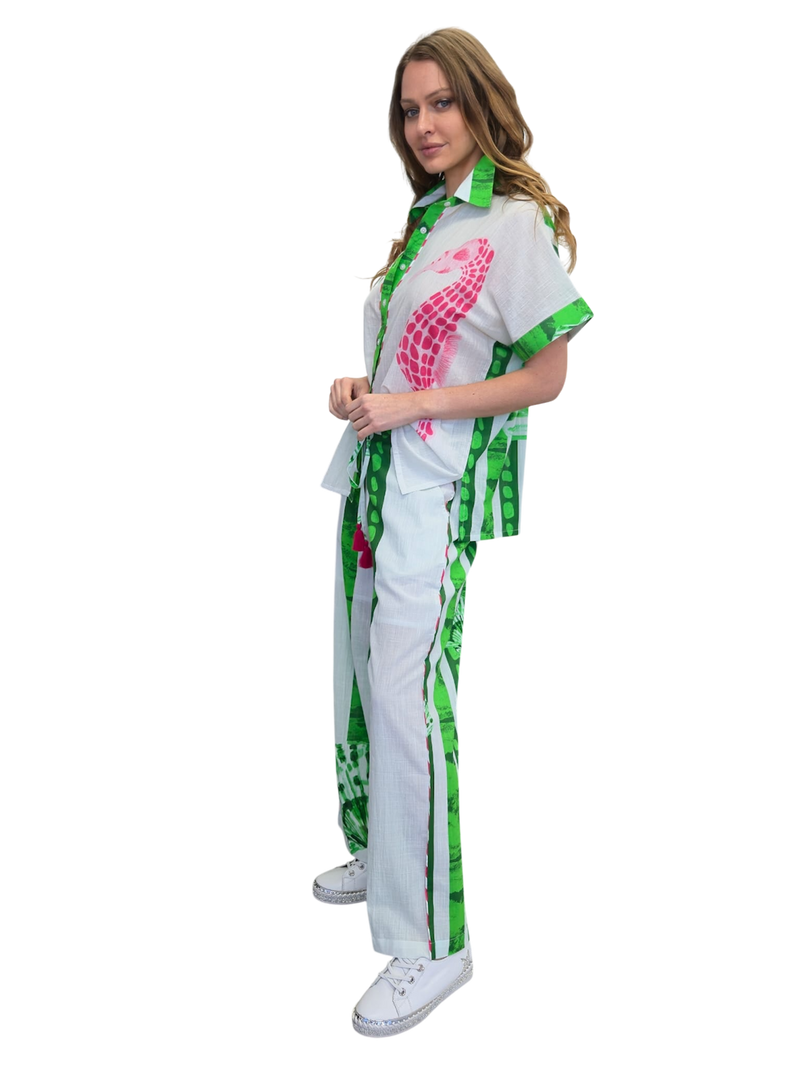 SHEER shirt & pants set