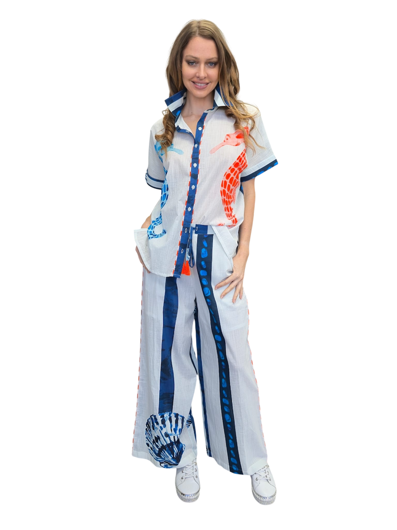 SHEER shirt & pants set