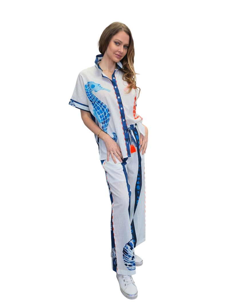 SHEER shirt & pants set