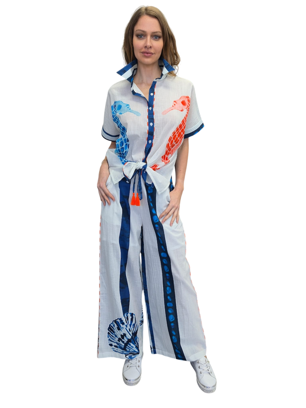 SHEER shirt & pants set